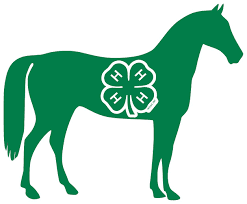 4hHORSE