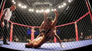 CAGEFIGHT