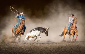 TEAMROPING
